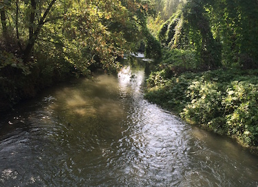 Il fiume Strone