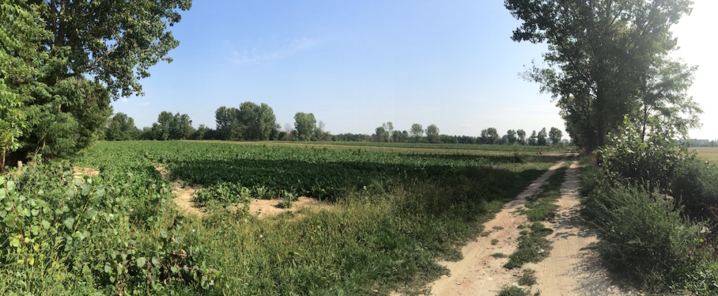 La campagna di San Paolo nei pressi del Laghetto