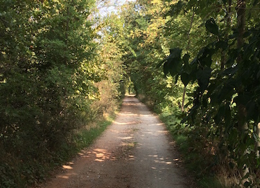 La strada che costeggia la roggia Quinzana e che porta al laghetto da sud