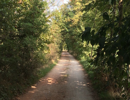 Luoghi e Passeggiate