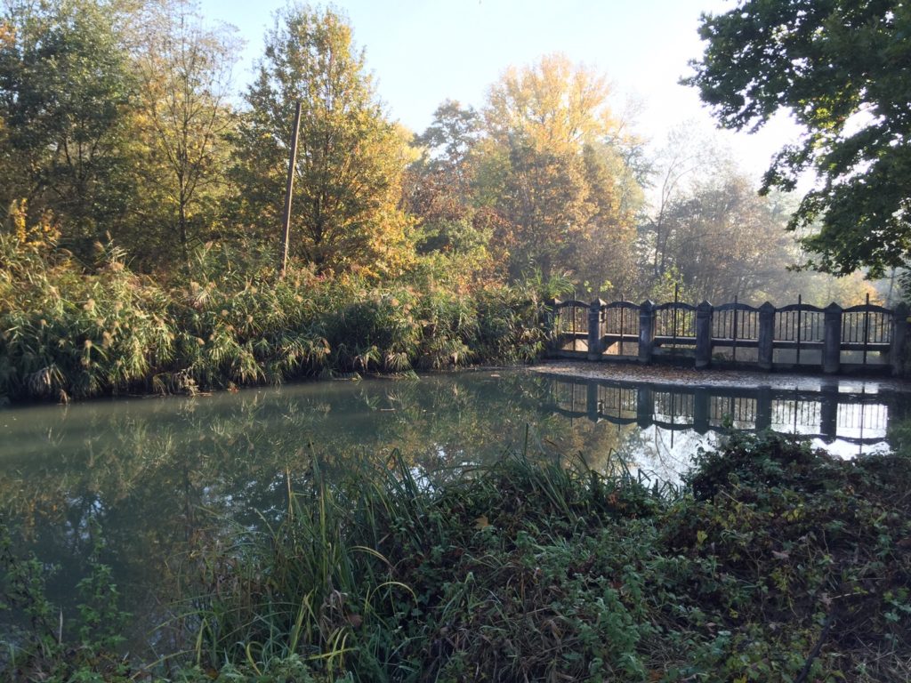 autunno-al-laghetto-3-2