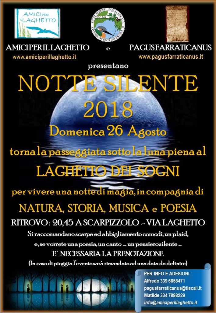 Locandina Notte Silente 2018